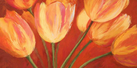Orange Tulips White Modern Wood Framed Art Print with Double Matting by Mei, Silvia