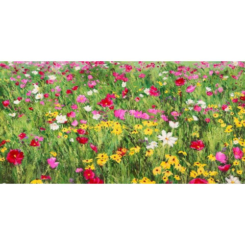 Field of Flowers Black Modern Wood Framed Art Print by Mei, Silvia