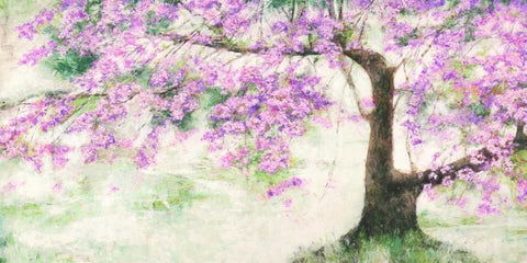 Albero fiorito White Modern Wood Framed Art Print with Double Matting by Mei, Silvia