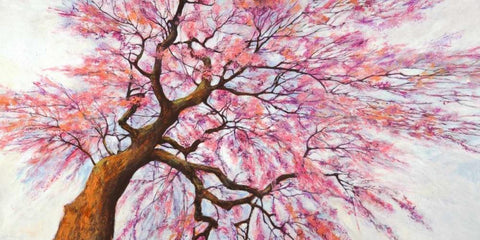 Sotto l albero in fiore White Modern Wood Framed Art Print with Double Matting by Mei, Silvia
