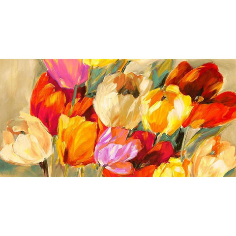 Field of Colorful Tulips Black Modern Wood Framed Art Print with Double Matting by Stone, Jim