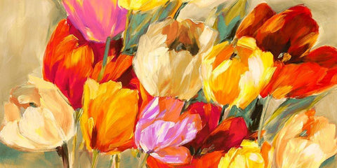 Field of Colorful Tulips Black Ornate Wood Framed Art Print with Double Matting by Stone, Jim