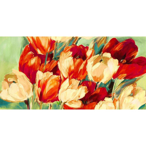 Red And White Tulips Black Modern Wood Framed Art Print with Double Matting by Stone, Jim