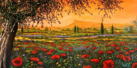 Pianura in fiore White Modern Wood Framed Art Print with Double Matting by Marzari, Tebo