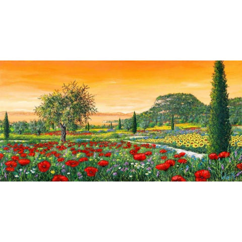 Le colline in fiore Black Modern Wood Framed Art Print with Double Matting by Marzari, Tebo