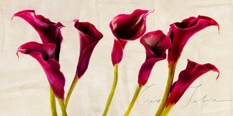 Tres Jolie Black Ornate Wood Framed Art Print with Double Matting by Rizzardi, Teo