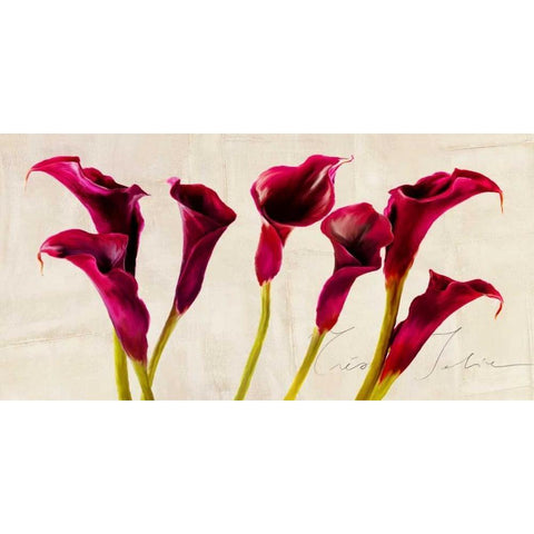 Tres Jolie Black Modern Wood Framed Art Print by Rizzardi, Teo