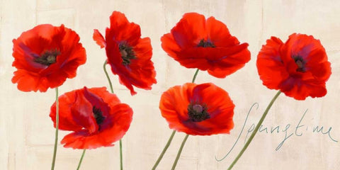 Springtime Black Ornate Wood Framed Art Print with Double Matting by Rizzardi, Teo