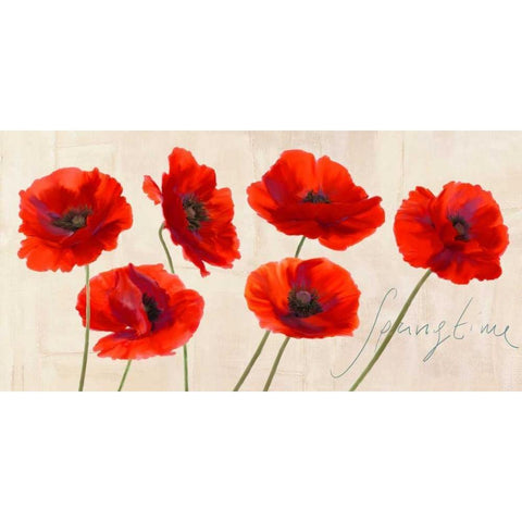 Springtime Black Modern Wood Framed Art Print with Double Matting by Rizzardi, Teo