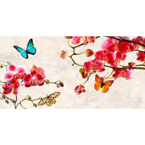Orchids and Butterflies Gold Ornate Wood Framed Art Print with Double Matting by Rizzardi, Teo