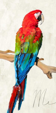 Me Black Ornate Wood Framed Art Print with Double Matting by Rizzardi, Teo