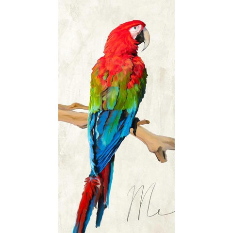 Me White Modern Wood Framed Art Print by Rizzardi, Teo