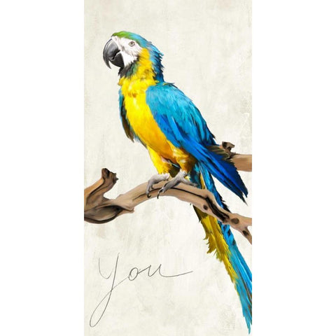 You White Modern Wood Framed Art Print by Rizzardi, Teo