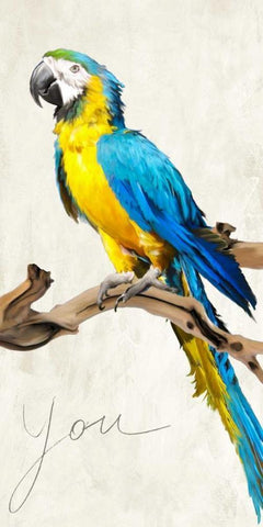 You White Modern Wood Framed Art Print with Double Matting by Rizzardi, Teo