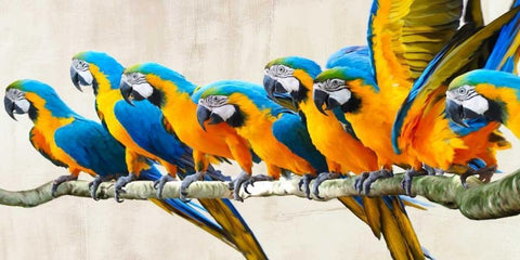 Ara Parade Black Ornate Wood Framed Art Print with Double Matting by Rizzardi, Teo