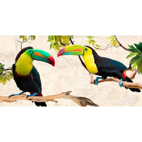 Two of Us Black Modern Wood Framed Art Print with Double Matting by Rizzardi, Teo