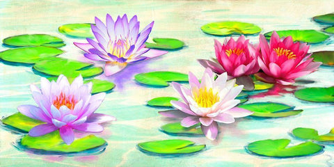 Nympheas White Modern Wood Framed Art Print with Double Matting by Rizzardi, Teo