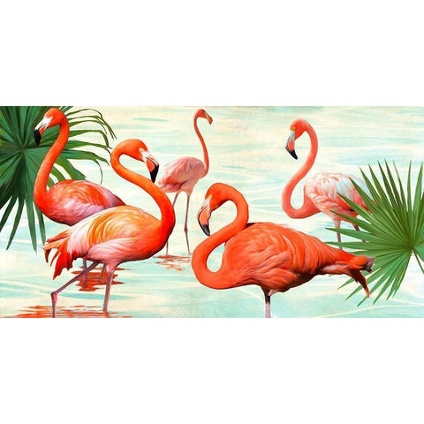 Flamingos Black Modern Wood Framed Art Print with Double Matting by Rizzardi, Teo