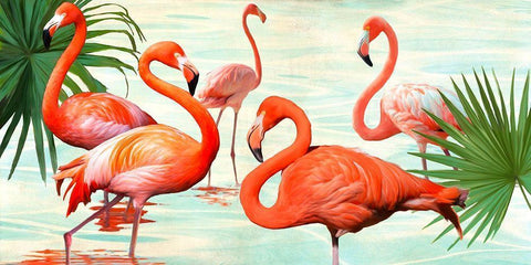 Flamingos White Modern Wood Framed Art Print with Double Matting by Rizzardi, Teo
