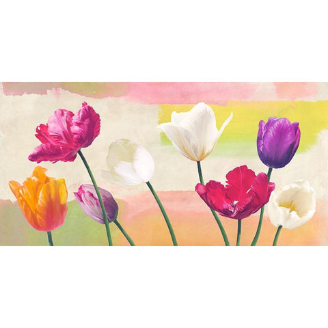 Florilegium Black Modern Wood Framed Art Print with Double Matting by Rizzardi, Teo