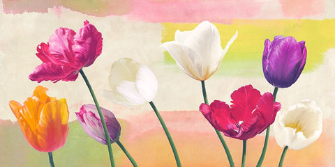 Florilegium White Modern Wood Framed Art Print with Double Matting by Rizzardi, Teo