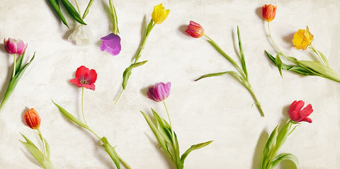 Cut Tulips Black Ornate Wood Framed Art Print with Double Matting by Rizzardi, Teo