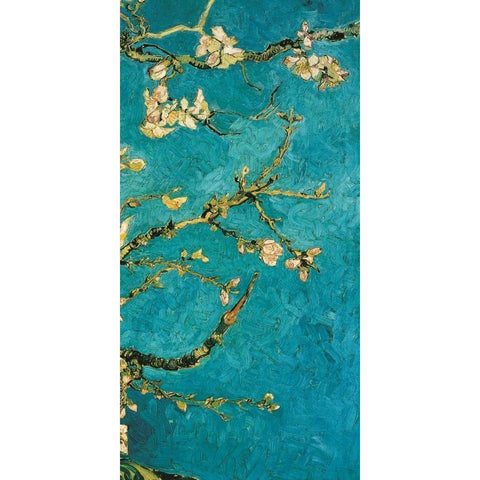 Mandorlo in fiore III Black Modern Wood Framed Art Print with Double Matting by Van Gogh, Vincent