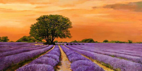 Campo al tramonto White Modern Wood Framed Art Print with Double Matting by Sella, Valerio