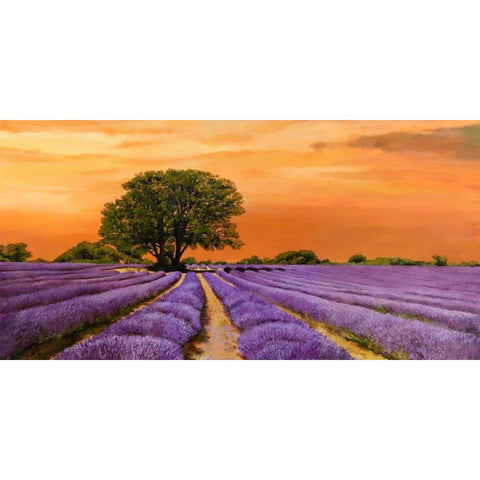 Campo al tramonto Black Modern Wood Framed Art Print with Double Matting by Sella, Valerio