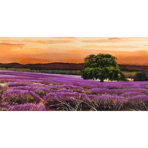 Campo di lavanda Black Modern Wood Framed Art Print by Sella, Valerio