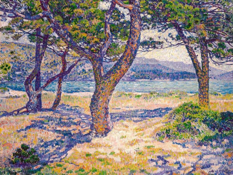 The Mediterranean at Le Lavandou Black Ornate Wood Framed Art Print with Double Matting by Van Rysselberghe, Theo