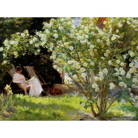 Seated in the garden of roses Black Modern Wood Framed Art Print by KrÃ¸yer, Peder Severin