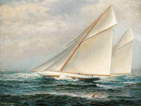 Americas Cup Racing Black Ornate Wood Framed Art Print with Double Matting by Tyler, James Gale