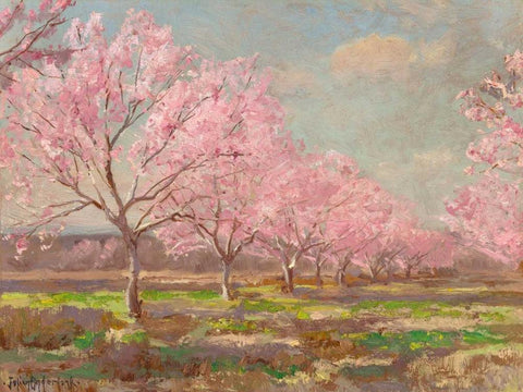Peach orchard on Mavericks farm Black Ornate Wood Framed Art Print with Double Matting by Onderdonk, Julian