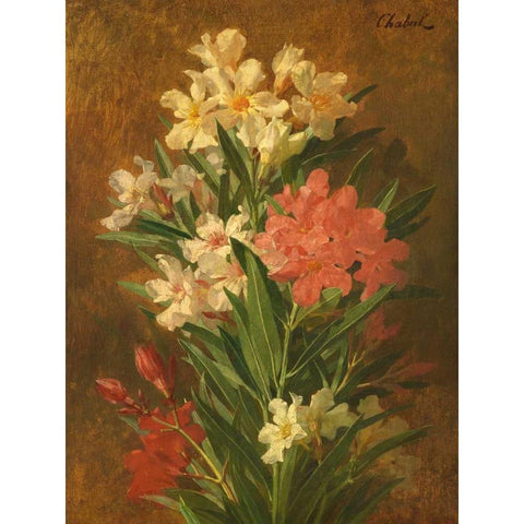 Rot und weiss bluhender Oleander White Modern Wood Framed Art Print by Chabal-Dussergey, Pierre Adrien