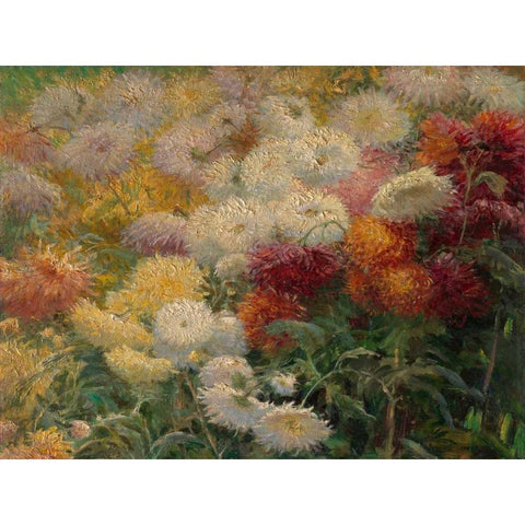 Chrysanthemums in the Garden at Petit-Gennevilliers Gold Ornate Wood Framed Art Print with Double Matting by Caillebotte, Gustave