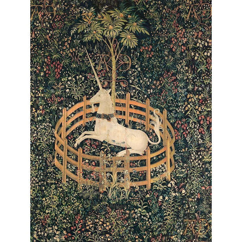 Unicorn in Captivity Black Modern Wood Framed Art Print with Double Matting by Anonymous