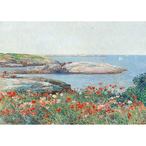 Poppies- Isles of Shoals Black Modern Wood Framed Art Print with Double Matting by Hassam, Childe