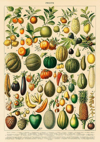 Fruits and Vegetables Black Ornate Wood Framed Art Print with Double Matting by Millot, Adolphe