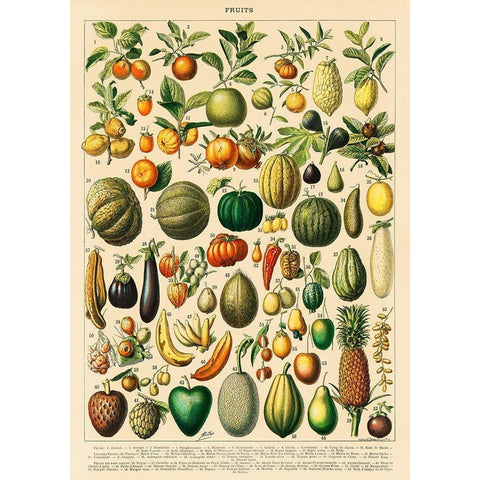 Fruits and Vegetables White Modern Wood Framed Art Print by Millot, Adolphe