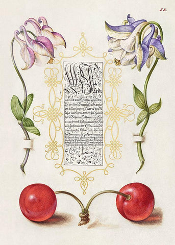 From the Model Book of Calligraphy-III Black Ornate Wood Framed Art Print with Double Matting by Hoefnagel, Bocskay