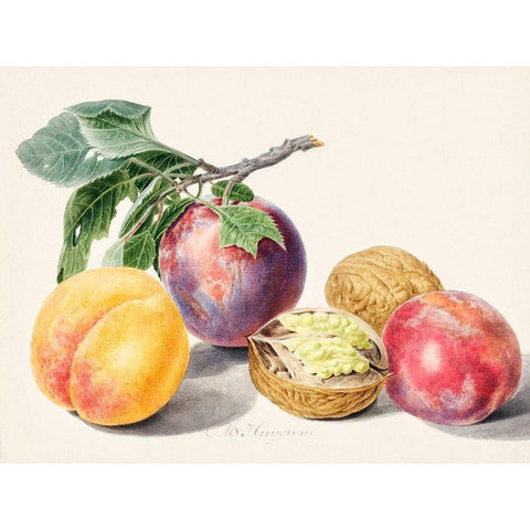 Fruits I White Modern Wood Framed Art Print by van Huysum, Michiel