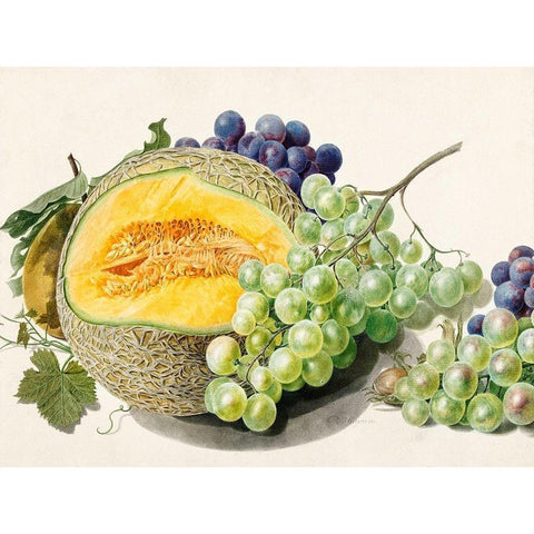 Fruits II Gold Ornate Wood Framed Art Print with Double Matting by van Huysum, Michiel