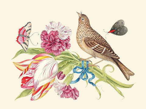 Bouquet of carnations and tulip White Modern Wood Framed Art Print with Double Matting by Anonymous