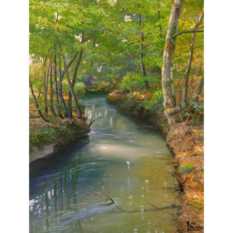 Nel bosco Black Modern Wood Framed Art Print with Double Matting by Galasso, Adriano