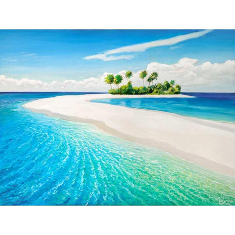 Isola tropicale Black Modern Wood Framed Art Print with Double Matting by Galasso, Adriano