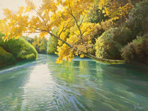 Fiume sereno Black Ornate Wood Framed Art Print with Double Matting by Galasso, Adriano