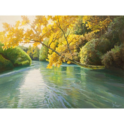 Fiume sereno Black Modern Wood Framed Art Print by Galasso, Adriano