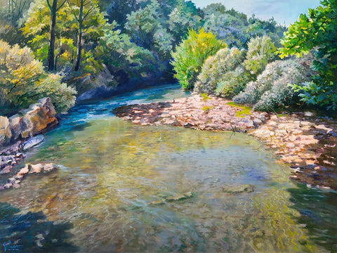 Ansa nel torrente Black Ornate Wood Framed Art Print with Double Matting by Galasso, Adriano