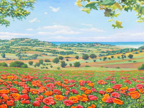 Campo di papaveri Black Ornate Wood Framed Art Print with Double Matting by Del Missier, Andrea